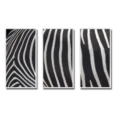 Détail de lignes de zèbre noires et blanches IV - ensemble transitionnel d'art mural sur toile encadré de 3