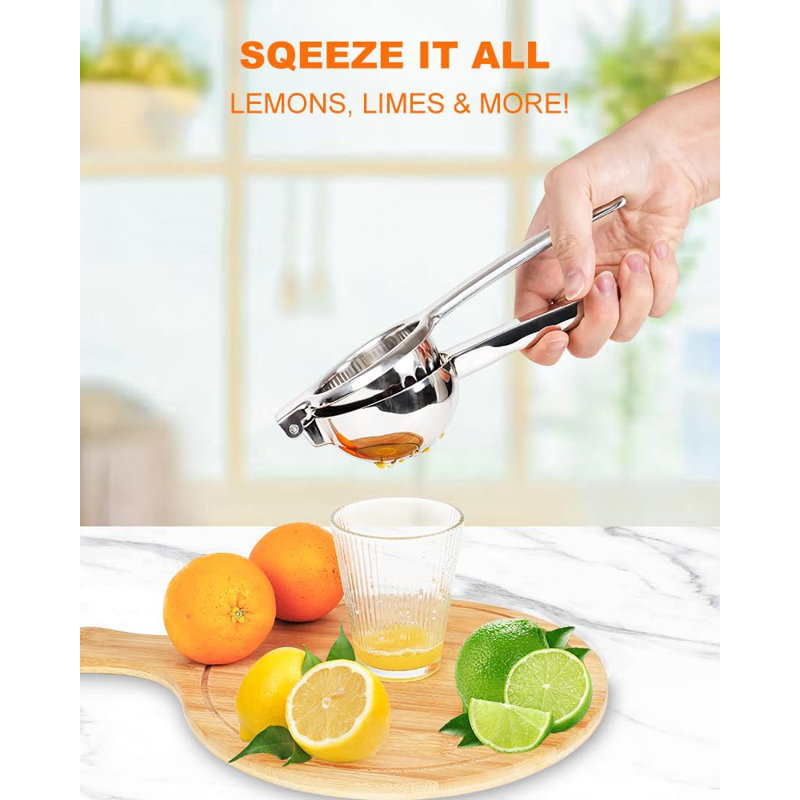 Heavy-Duty 304 Stainless Steel, High Juice Yield Manual Juicer