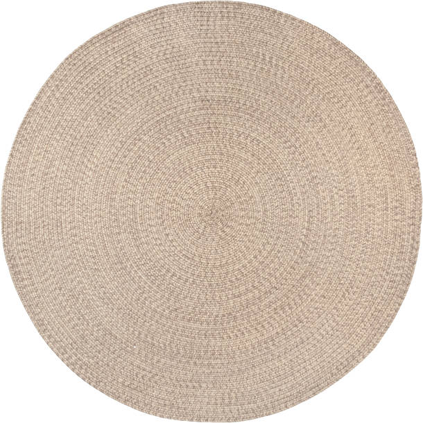 Ebern Designs Luchezar Handmade Braided Ivory Indoor/Outdoor Rug ...
