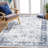 Vintage Area Rug Machine Washable Foldable Rug with Non Slip Carpet for Living Room Bedroom Dining Room-941502665-941502660