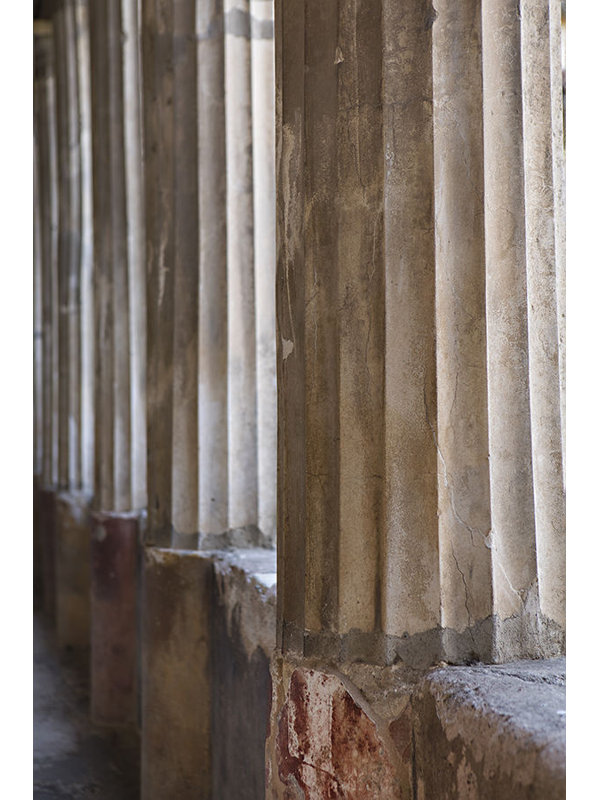 Colonna Marrone Print by Karyn Millet, Glass Coat