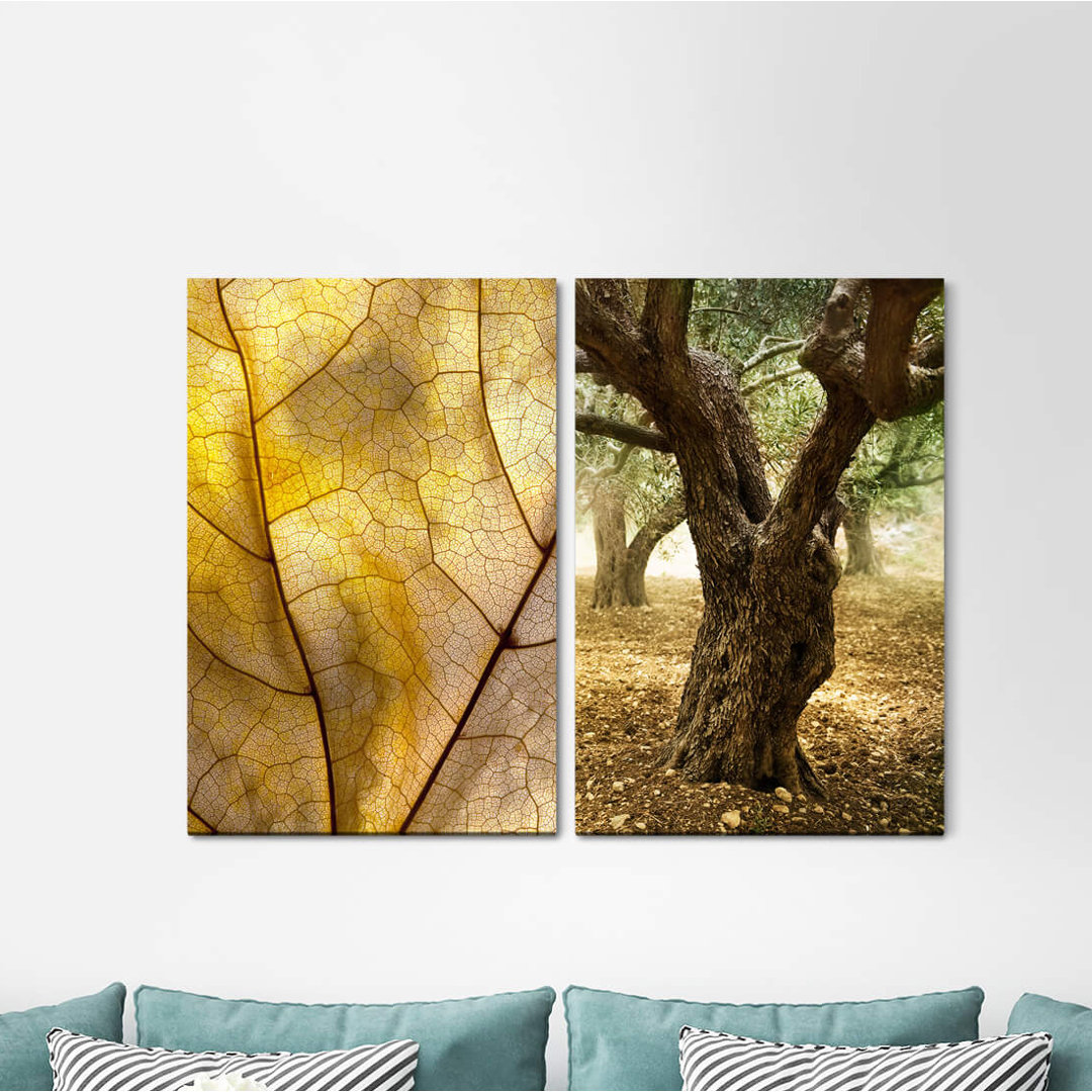 2-tlg. Leinwandbilder-Set - Fotografie „Autumn Leaf Old Tree Nature Autumn Healing Power Positive Energy”