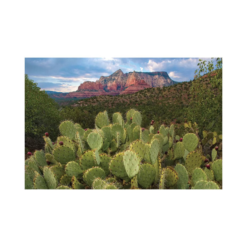 Opuntia Cactus And Mountain, Red Rock-Secret Mountain Wilderness, Arizona by Tim Fitzharris - Wrapped Canvas Print