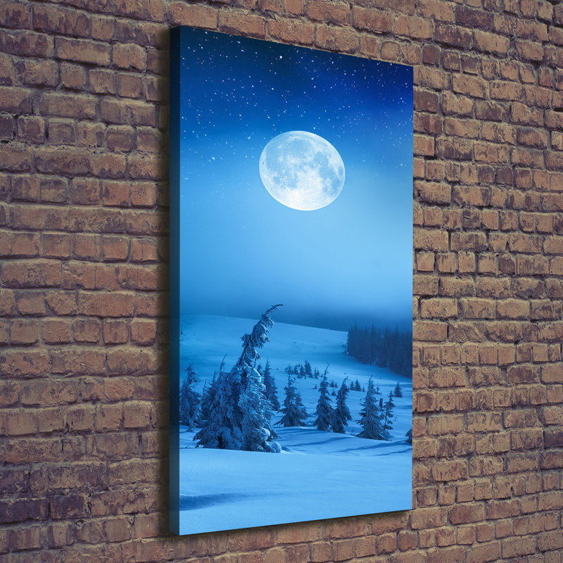 Full Moon - Wrapped Canvas Print