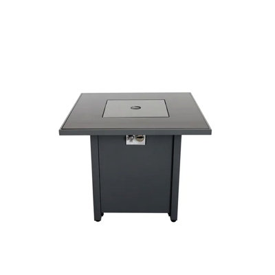 Foyer carré 30 po avec verre fumé à la chaleur - options de propane et de gaz en acier inoxydable avec comptoir gris Lava Rocks Natural H 25 po x P