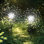 Stainless Steel Solar Powered Stainless Steel Pathway Light Pack