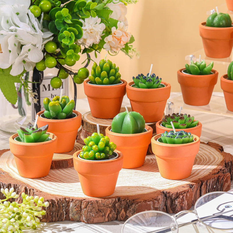 Ensemble de 36 bougies chauffe-plat Cactus
