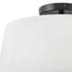 Caper 2 Light Flush Mount