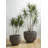 June Resin Pot Planter-60816541