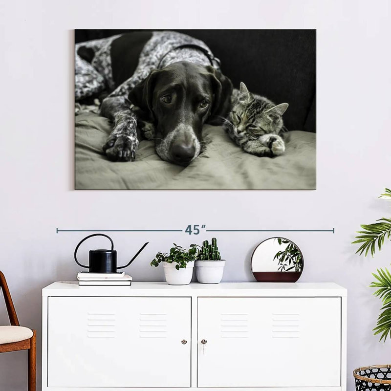 Dog And Cat Friends, 26" H x 39" W