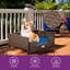 Canapé en rotin pour chien avec coussin en mousse-1765857772-1765857773