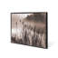 Cattail Framed Photographic Print Canvas