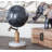 Plastic Educational/Geographic Earth Globe with Marble Base-27853189
