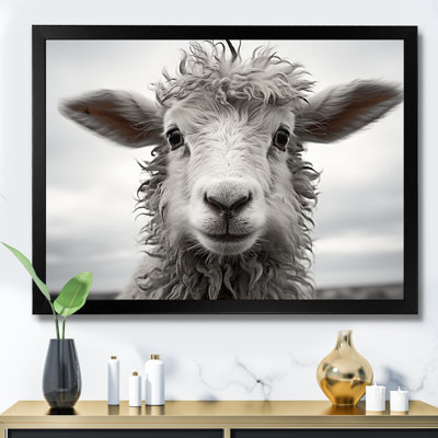Sheep Serenity - Sheep Canvas Wall Art