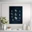 Le Monde De Coquilles II Print by Sofia Fox-26945526-26945525