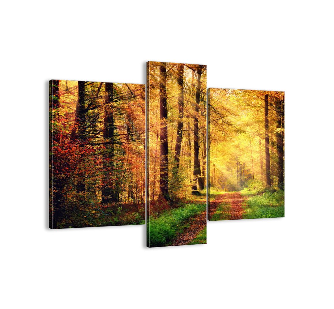 3-tlg. Leinwandbilder-Set - Fotografie „Forest-Golden Silence”