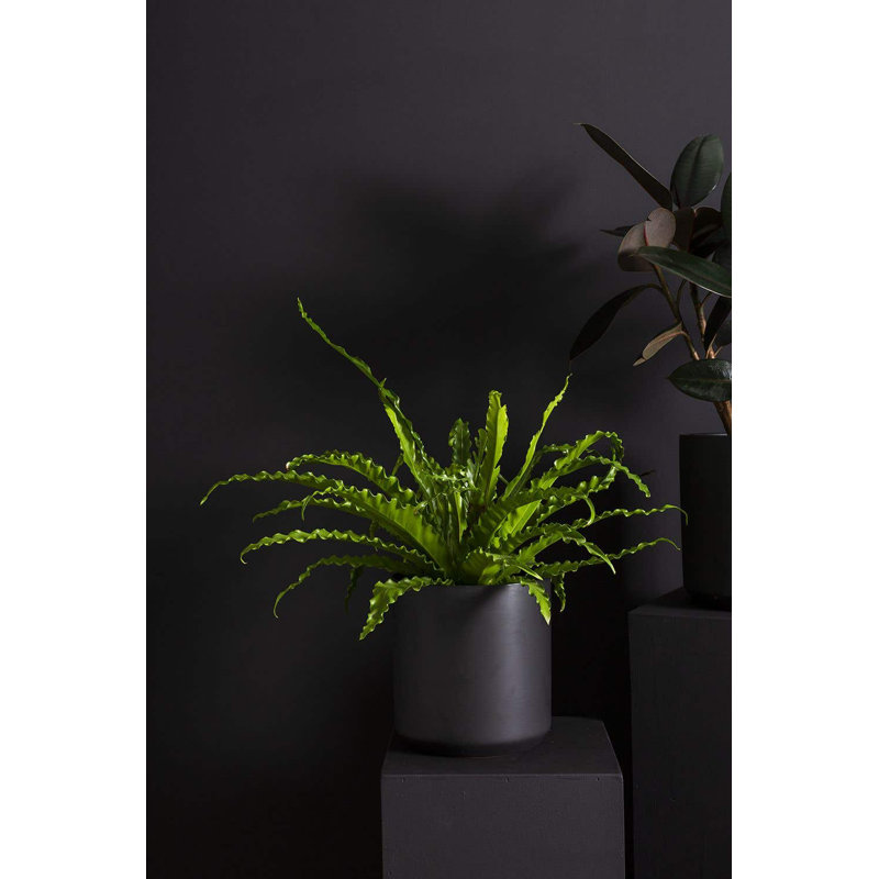 Parsons Handmade Ceramic Pot Planter, 10" H x 10.75" W x 10.75" D, Black