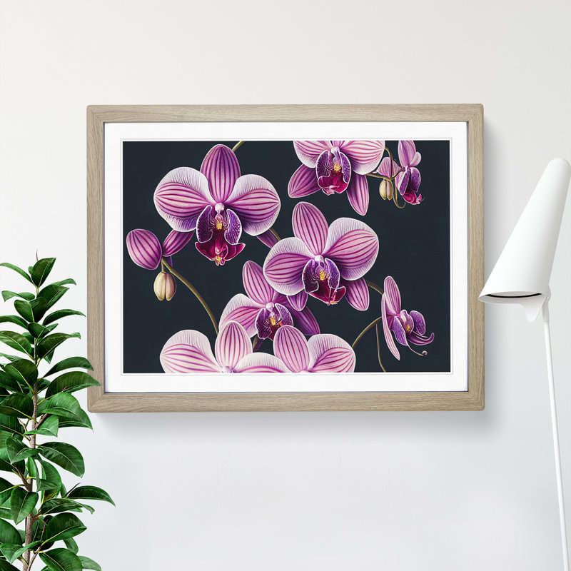 Sparkling Orchid Flowers - Framed Print, 34cm H x 46cm W x 2cm D, Oak