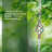 9.7FT Rain Chain