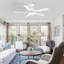 Ventilateur de plafond standard à DEL à 5 pales de 42 po avec télécommande et ensemble d'éclairage inclus Jeason-201321445-201321444