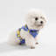 Harnais pour animal de compagnie Arlo-112400955