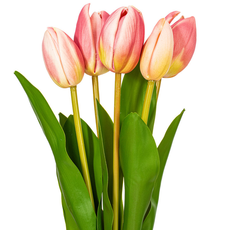  16" Purple/Cream Tulip Bundle 2/Bag.Includes two bundles of five tulips., Rose