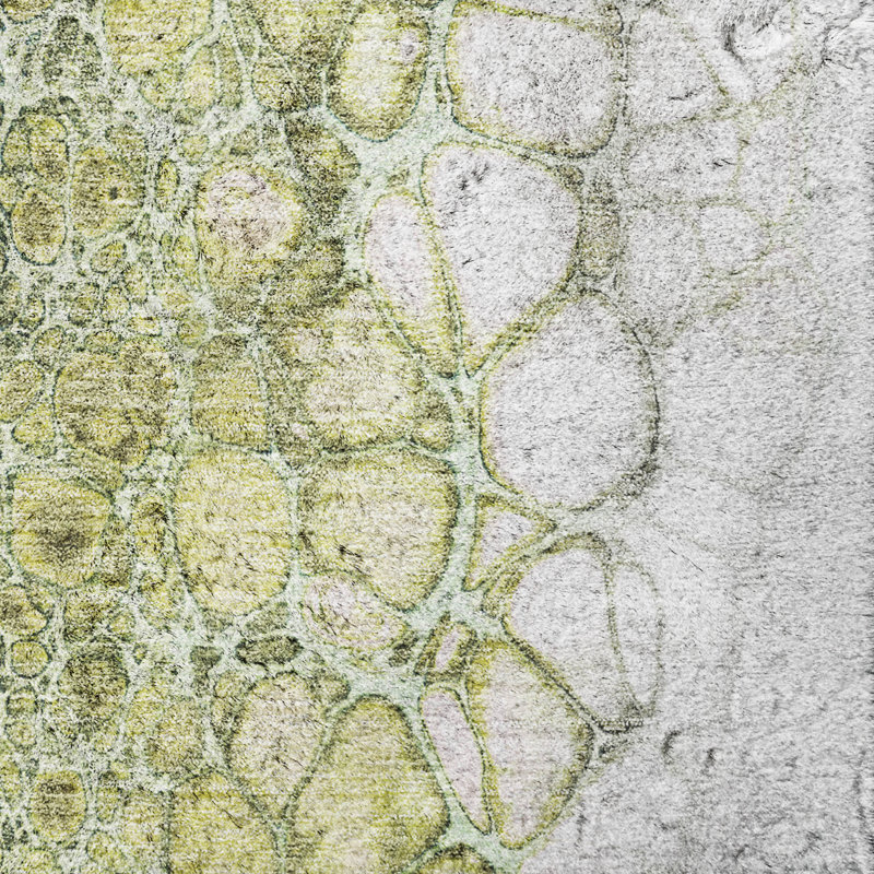 Tapis à poil long de qualité supérieure lavable à la machine ADS707, Olive, Tapis de couloir 2 pi 3 po x 7 pi 6 po