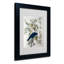 « american crow », reproduction d’art sur toile encadrée-11826775-19296547