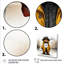Ours en peluche jaune - aventures de l'ours en peluche-1998466100-1998466094