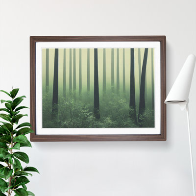 Contemporary Forest - Framed Print