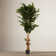 72'' Faux Ficus Tree in Pot