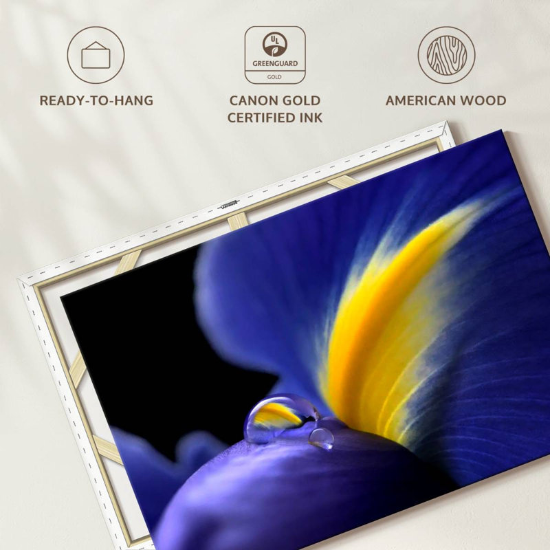 Harnek Purple Iris Flower
