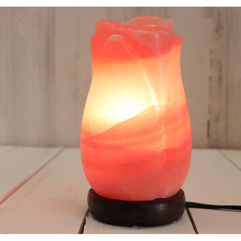 Lampe à sel 5 lb Rose