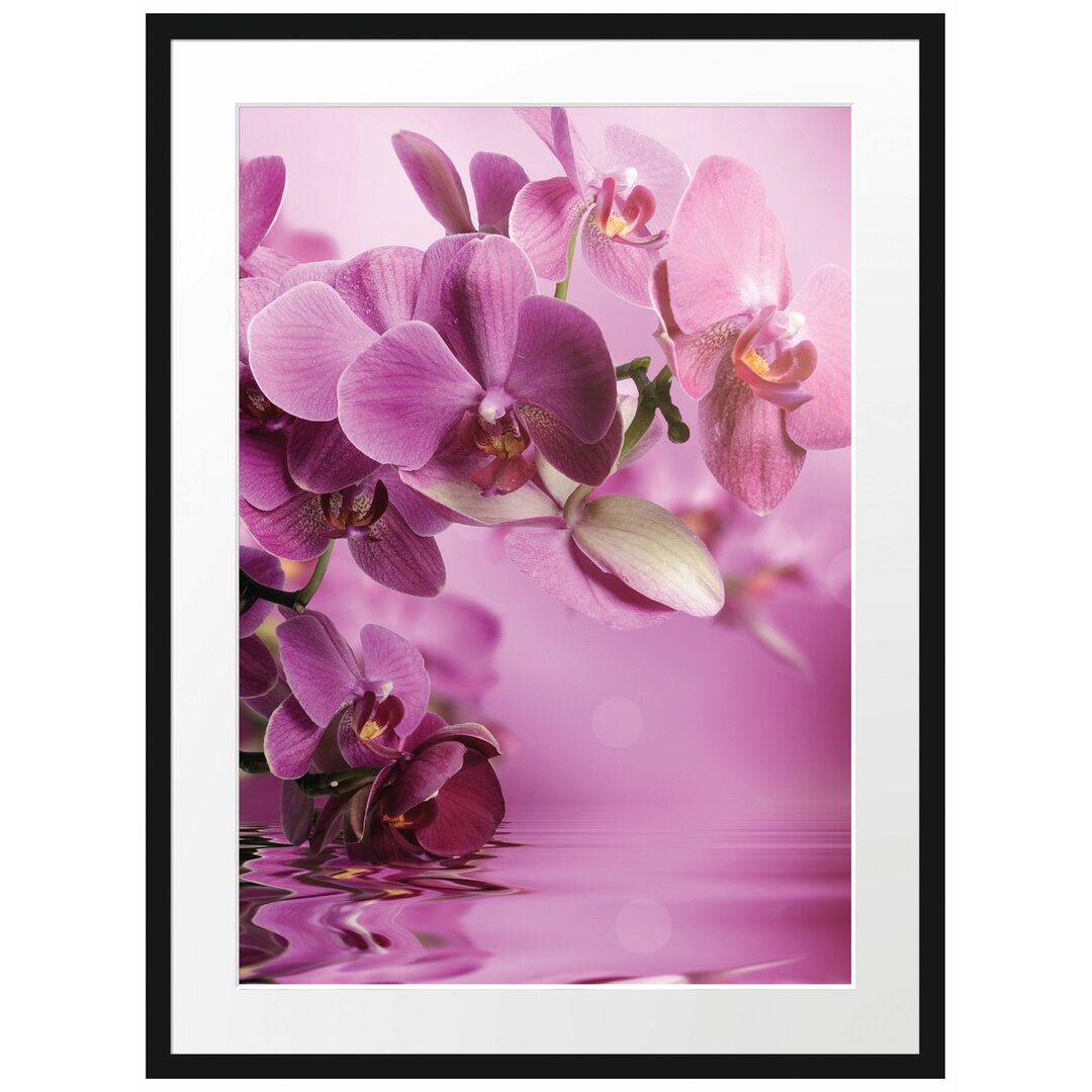 Gerahmtes Poster Wunderschöne Orchideenblüten