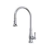 Patrizia™ Pull Down Single Handle Kitchen Faucet with Accessories