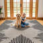 Modern Abstract Area Rug Minimal Contemporary Design-1599788775-1599788778