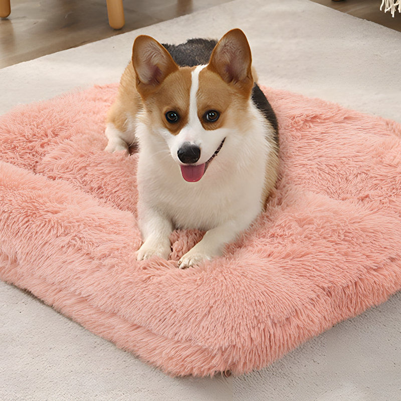 Coussin de siège pour animal de compagnie, Rose, Grand (H 5 po x l 39 po x P 29 po)
