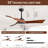 Kemp 52 Inch Modern Propeller Ceiling Fan without Light, Remote Control, 3 Solid Wood Blades, Indoor/Outdoor, Black&Brown-2083087595