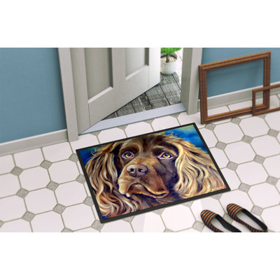 Wikieup Non-Slip Outdoor Doormat