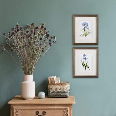 Bleu vif botanique S / 2