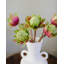 Faux 16,5 po Waratah Protea-2115729976-2115729983