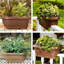 Grand pot de fleurs ovale classique intérieur / extérieur Classic-496436332-440115815