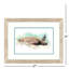 Tortue hawaïenne, art encadré