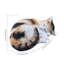 Statue de chat calicot endormi