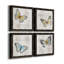 Carte postale papillon I - ensemble de 4 reproductions d'art sur toile-1562484621-1562484626-1562566378