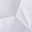 Édredon en duvet synthétique polyester toutes saisons-295573970-280651487