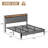 Alicia Upholstered Platform Bed-276131695-276131691