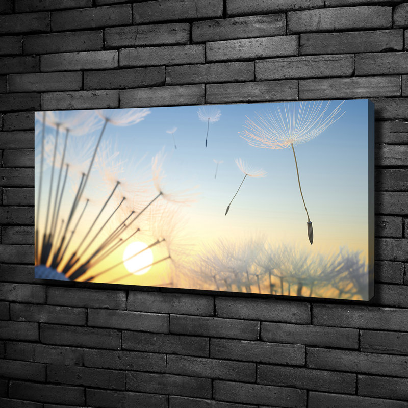 Dandelion Seeds - Wrapped Canvas Print