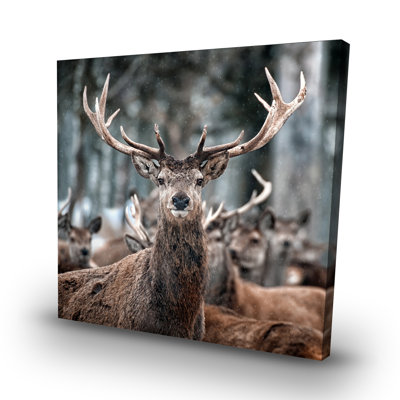 Stags - 32"x32" art on canvas