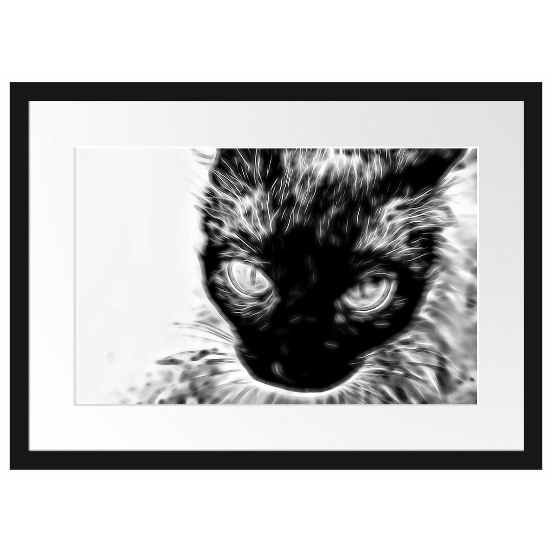 Gerahmtes Poster Schwarze Katze, blaue Augen